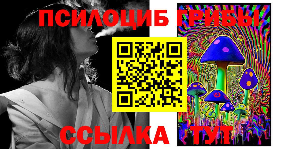 Галлюциногенные грибы ЛСД  купить закладку  Курган  Вход с VPN 